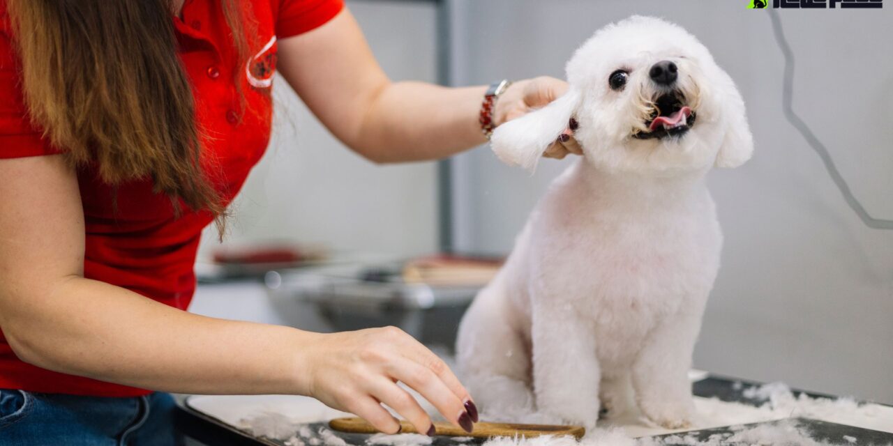 The Ultimate Guide to Dog Grooming in Markham