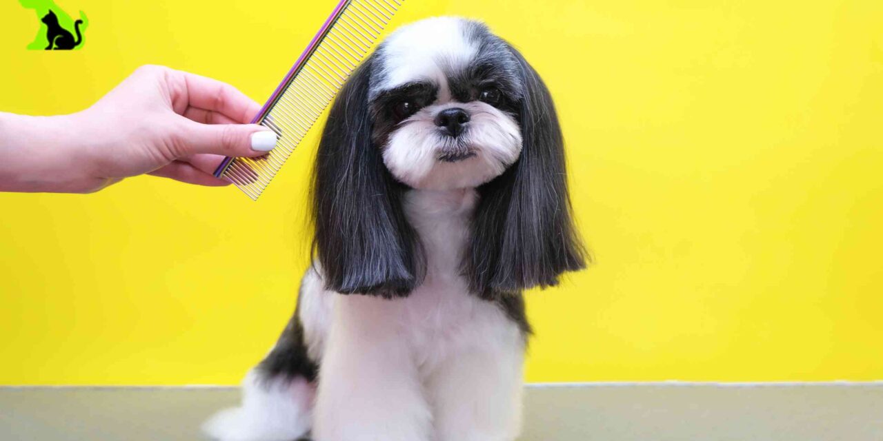 Trendsetting Dog Grooming Styles for 2024